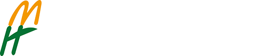 群體光合檢測(cè)-冠層光合檢測(cè)-葉綠素?zé)晒獬上裣到y(tǒng)-植物表型平臺(tái)-上海黍峰生物科技有限公司