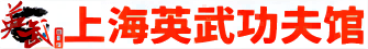 上海少兒武術_跆拳道培訓_散打搏擊班★盡在上海英武功夫館