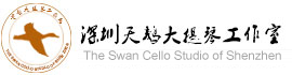 深圳天鵝大提琴工作室