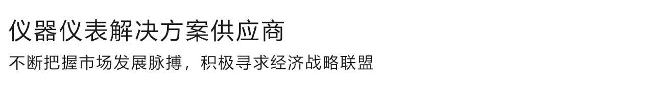 天長市恩賽斯儀表