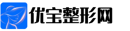 夢義元科技