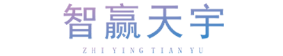 智贏天宇-VR_AR_數字孿生_虛擬仿真_智慧工廠_軟件開發公司。承接UE5_Unity3D項目外包。