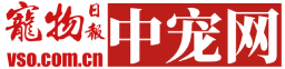 VSO中寵網