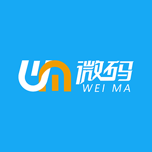 網站建設_小程序開發_定制開發_丸子建站