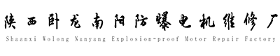高壓電機維修廠_電機換繞組修理_電機大修_防爆電機維修_陜西臥龍南陽防爆電機維修廠
