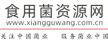 食用菌資源網(wǎng)-食用菌產(chǎn)業(yè)門戶網(wǎng)站-香菇木耳羊肚菌種植栽培養(yǎng)殖技術(shù)資料分享