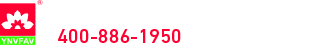 江櫻電器_寧波油煙機_寧波燃氣灶生產廠家 - 寧波江櫻電器有限公司