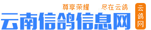 云南信鴿信息網(wǎng)