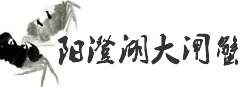 【閘蟹網(wǎng)】_蟹之夢(mèng)專業(yè)提供陽(yáng)澄湖大閘蟹團(tuán)購(gòu)銷售,價(jià)格至誠(chéng)