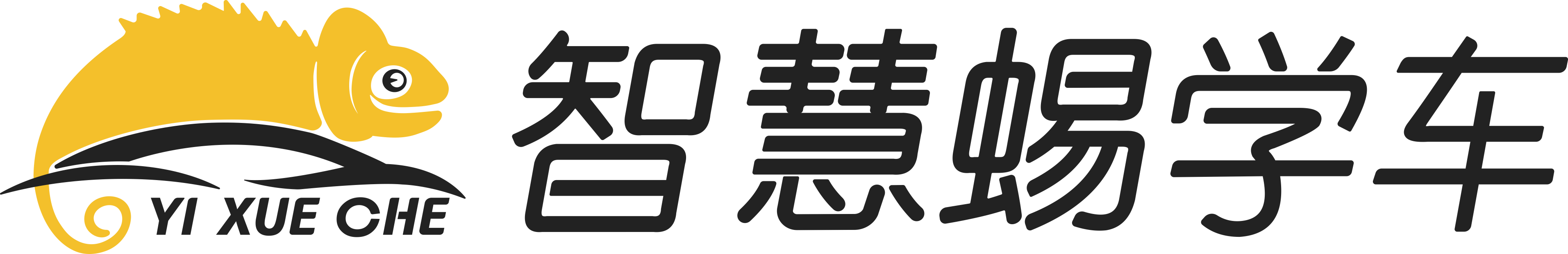 中易弘達-智慧蜴學車