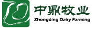 中鼎牧業-首頁