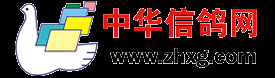 中華信鴿網