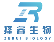 上海擇睿生物科技有限公司