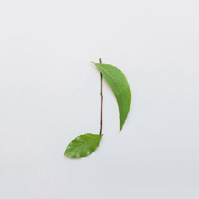 中思遠教育視頻網，在線教育視頻網站，中思遠信息資源庫