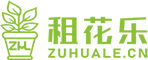 租花樂|專業的植物租賃平臺-室內綠植出租 綠化租擺 出租盆栽 租花卉 辦公室綠化養護-上海樂奇花卉園藝