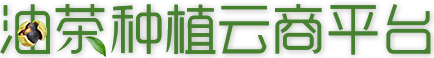 油茶種植云商平臺(tái)_重慶油茶種植門戶網(wǎng)站_重慶油茶種植_重慶油茶銷售_重慶油茶批發(fā)_重慶油茶訂購_酉陽油茶種植技術(shù)