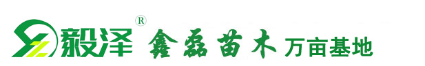 隆德縣鑫磊苗木專業合作社