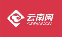 手機云南網